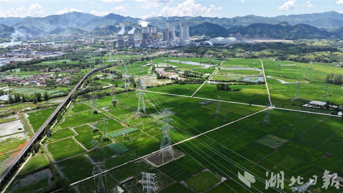 微信图片_2025-08-01_165530_600.jpg