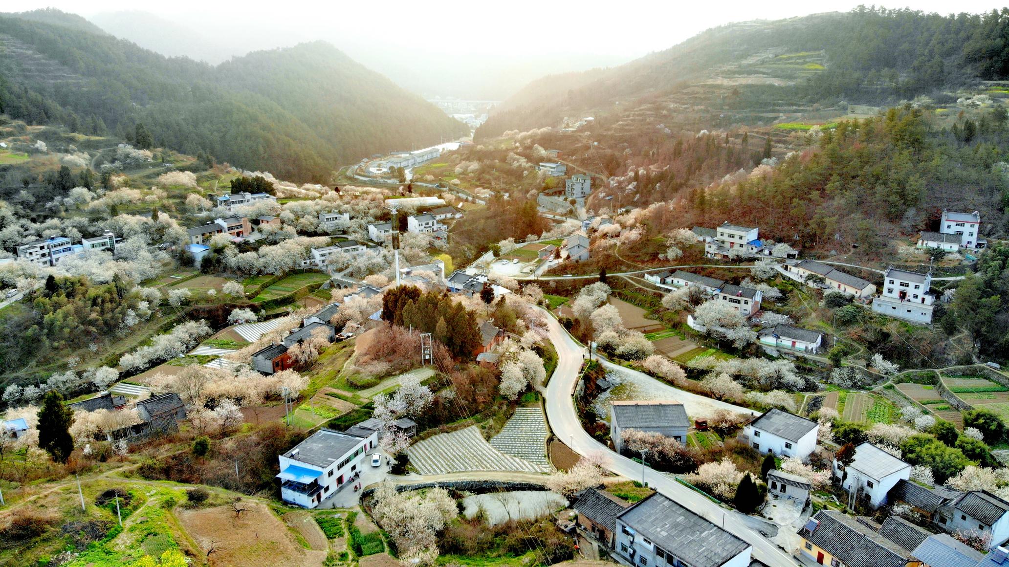 风景如画的谭家湾镇龙泉村.