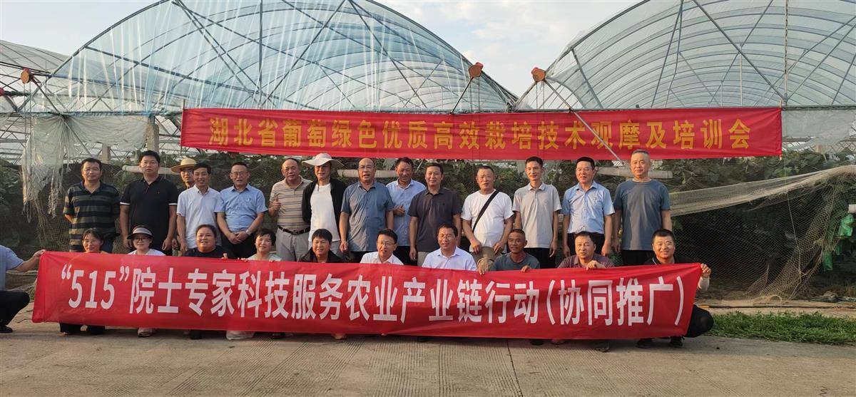 微信图片_20250829111504_80_917.jpg 微信图片_20250829111504_80_917.jpg