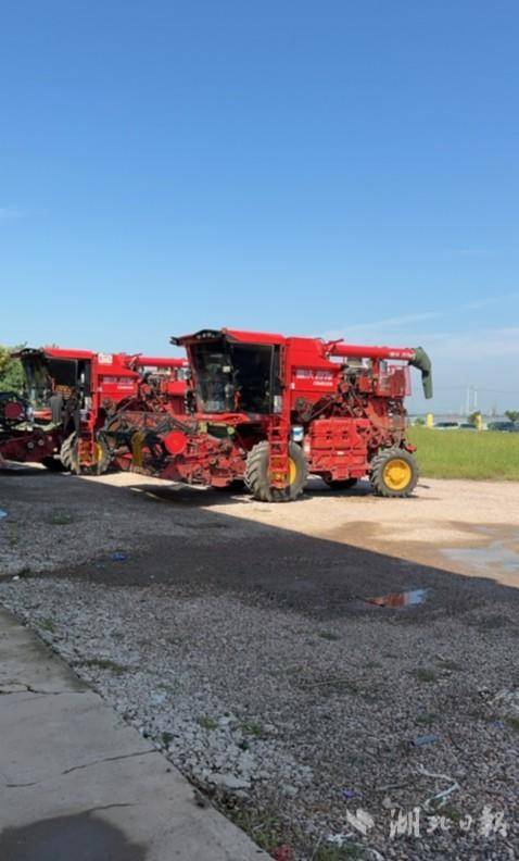 数据安全+降本增效：武汉合投供应链打造农业数字化新生态.docx