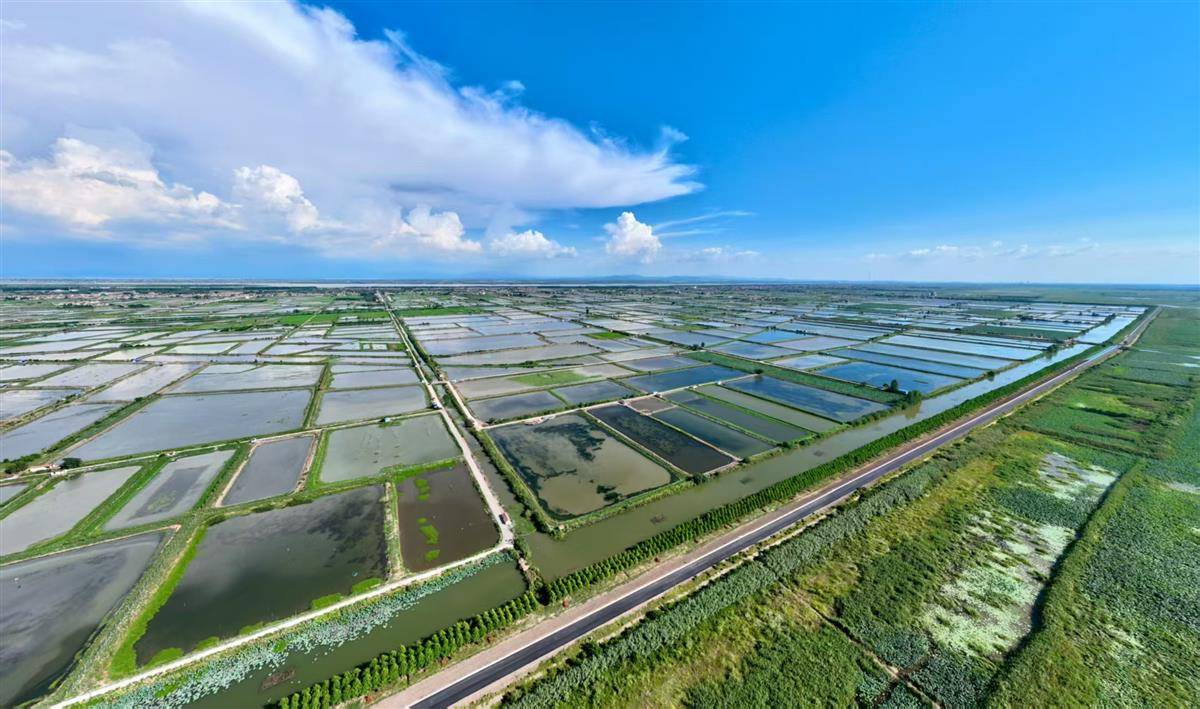 8dca1ca3e77cf121ab55bc6352ee5ecd.jpg 8dca1ca3e77cf121ab55bc6352ee5ecd.jpg