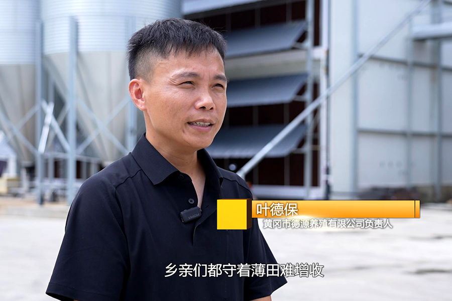 【创业路上】从4000羽到70万羽的产业升级——叶德保的返乡创业致富经 - 湖北日报新闻客户端