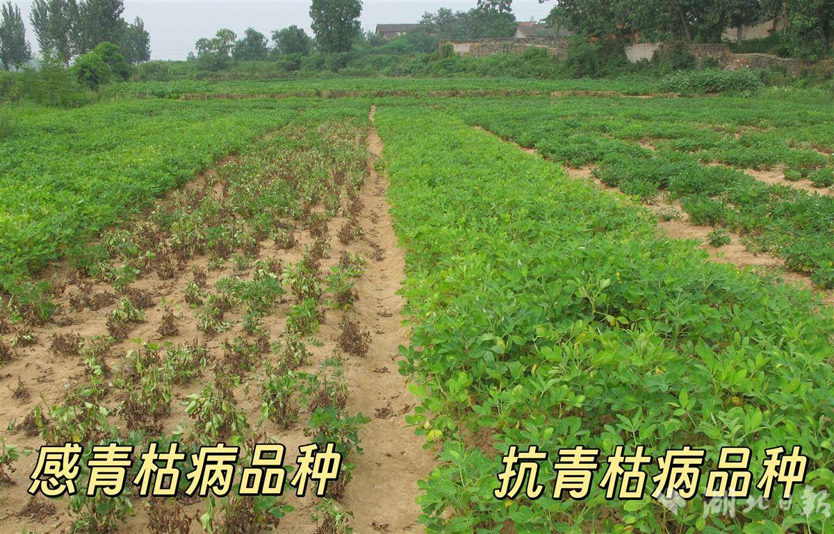 fb4c07fe13e0e1ebf59dd21b34ea2363_cb202601051437521971009gab.jpg fb4c07fe13e0e1ebf59dd21b34ea2363_cb202601051437521971009gab.jpg