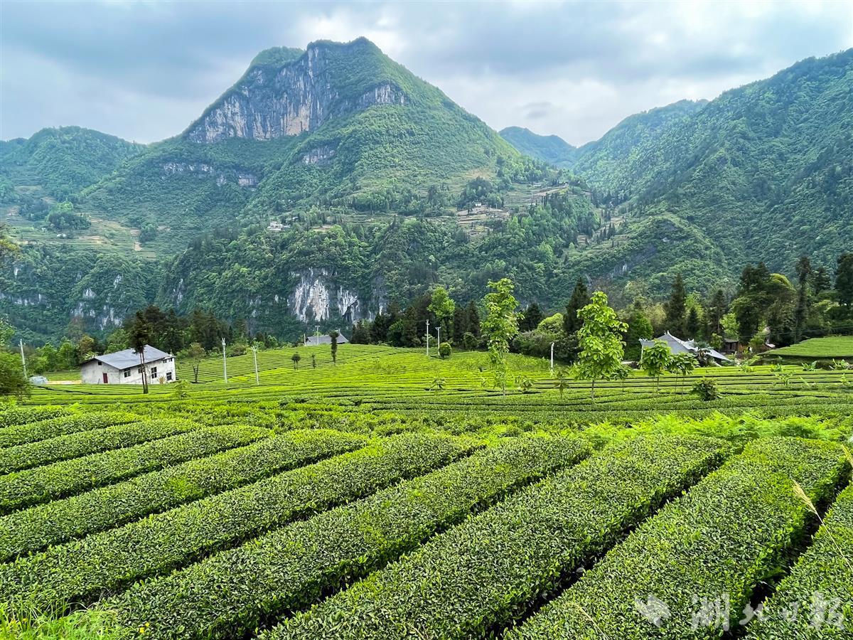 长潭河侗族乡绿色发展实践绿水青山引客来