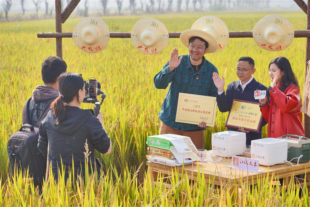 江汉大米曾荣获多项荣誉 摄影：宋枕涛.jpg
