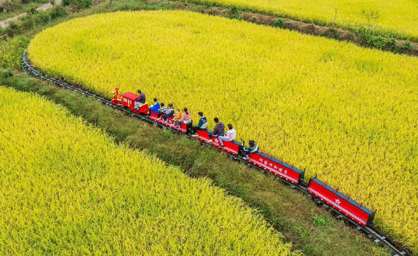 何家冲村内，游客体验乘坐观光小火车。（受访者供图）