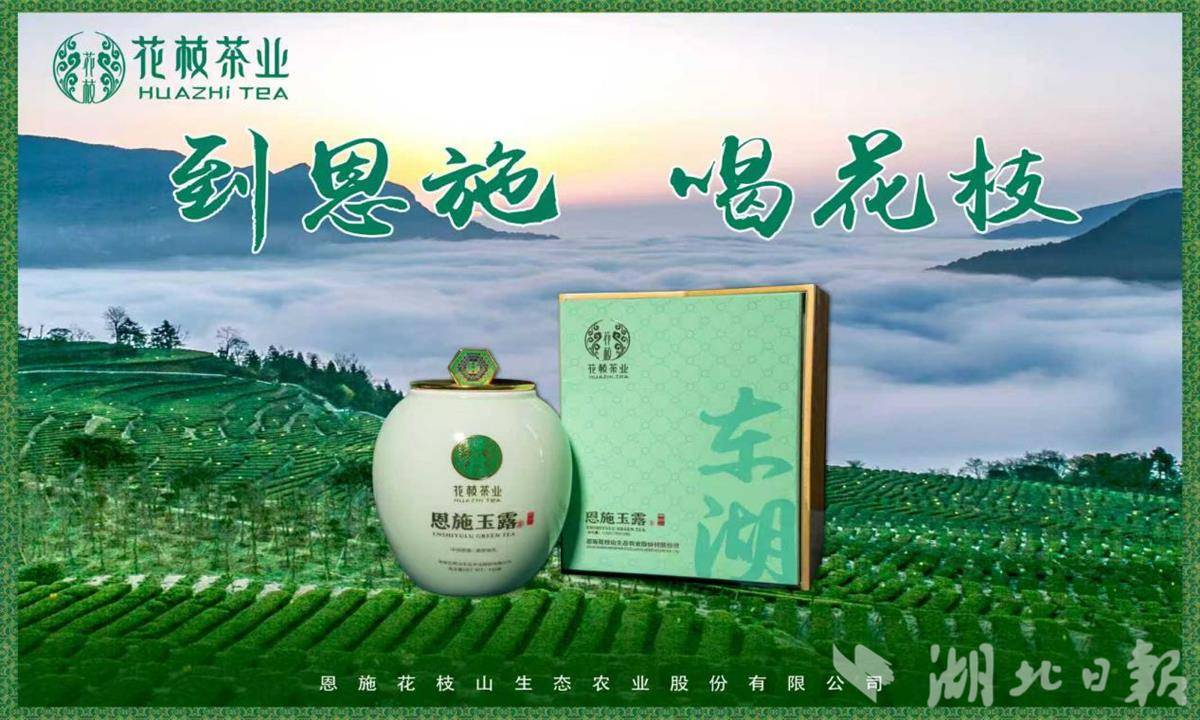 图片14.png