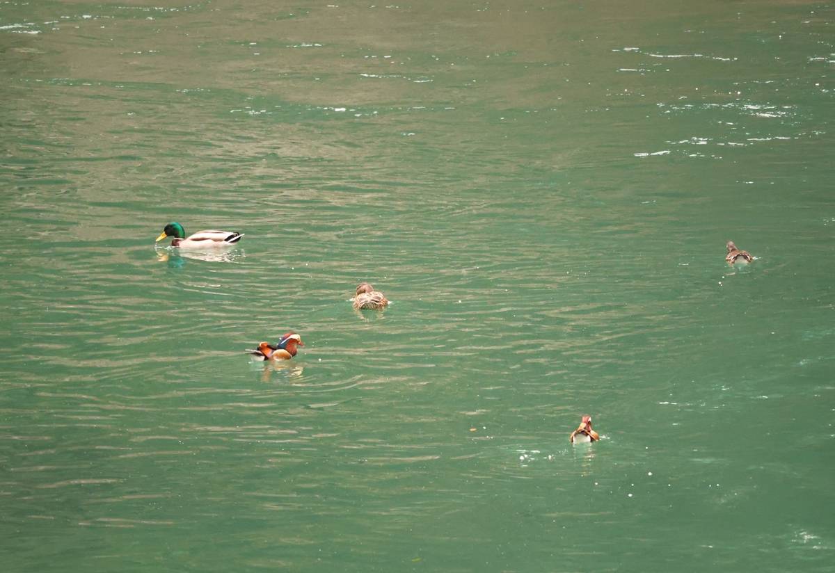 60abf5736bc7e6e76fcdda4d6fd22e1b.jpg 60abf5736bc7e6e76fcdda4d6fd22e1b.jpg