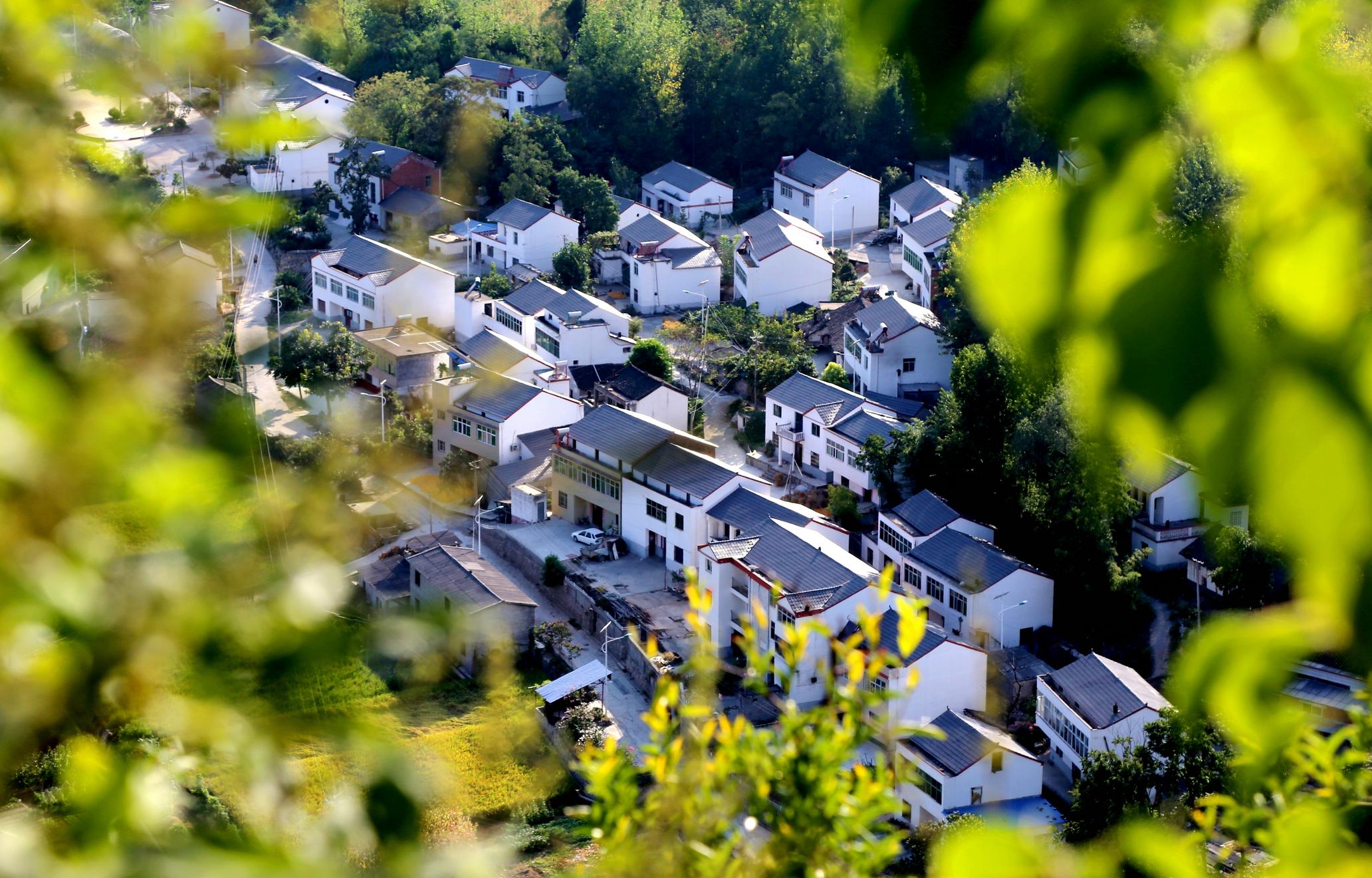 全国生态文化村,湖北省旅游名村——茶店镇樱桃沟.
