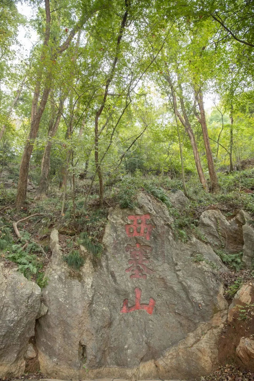 西塞山的秋天,抓住你了