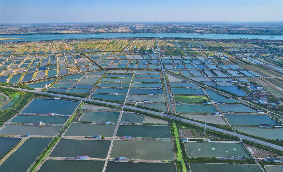 枝江鱼米之乡生态美