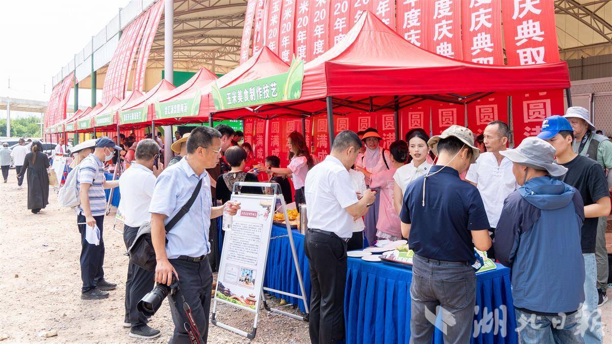 汉南6万亩甜玉米开园上市，吸引全国各地客商前来打货。通讯员田钰杰摄
