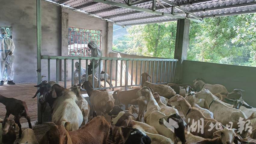 深入推进“五个体系”建设 (2).doc