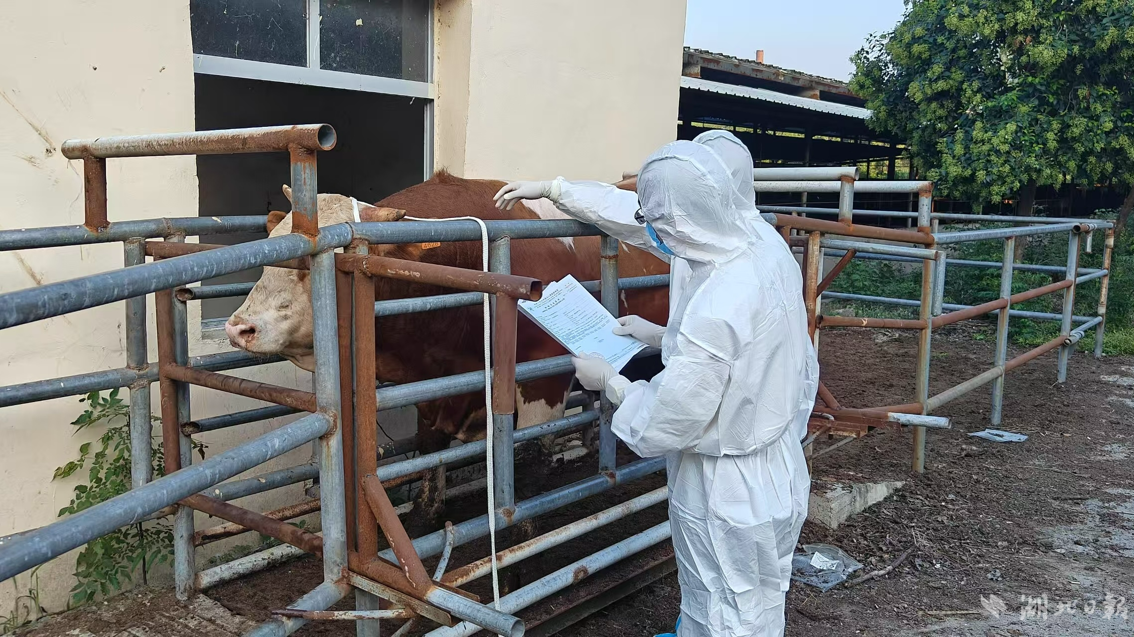 微信图片_20250728104342.jpg 微信图片_20250728104342.jpg