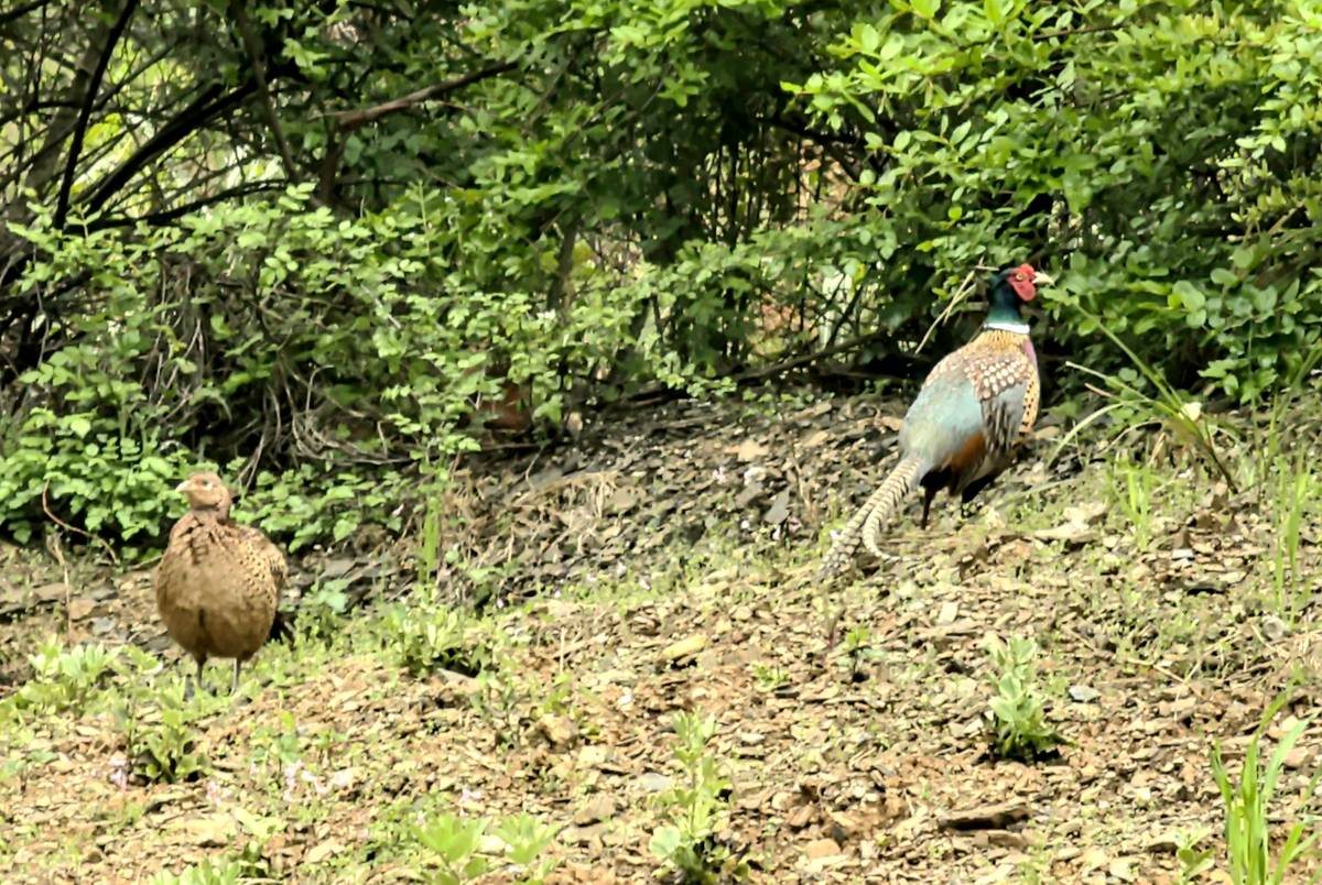 7370fc12a079e562e140880fa6601ffd.jpg 7370fc12a079e562e140880fa6601ffd.jpg