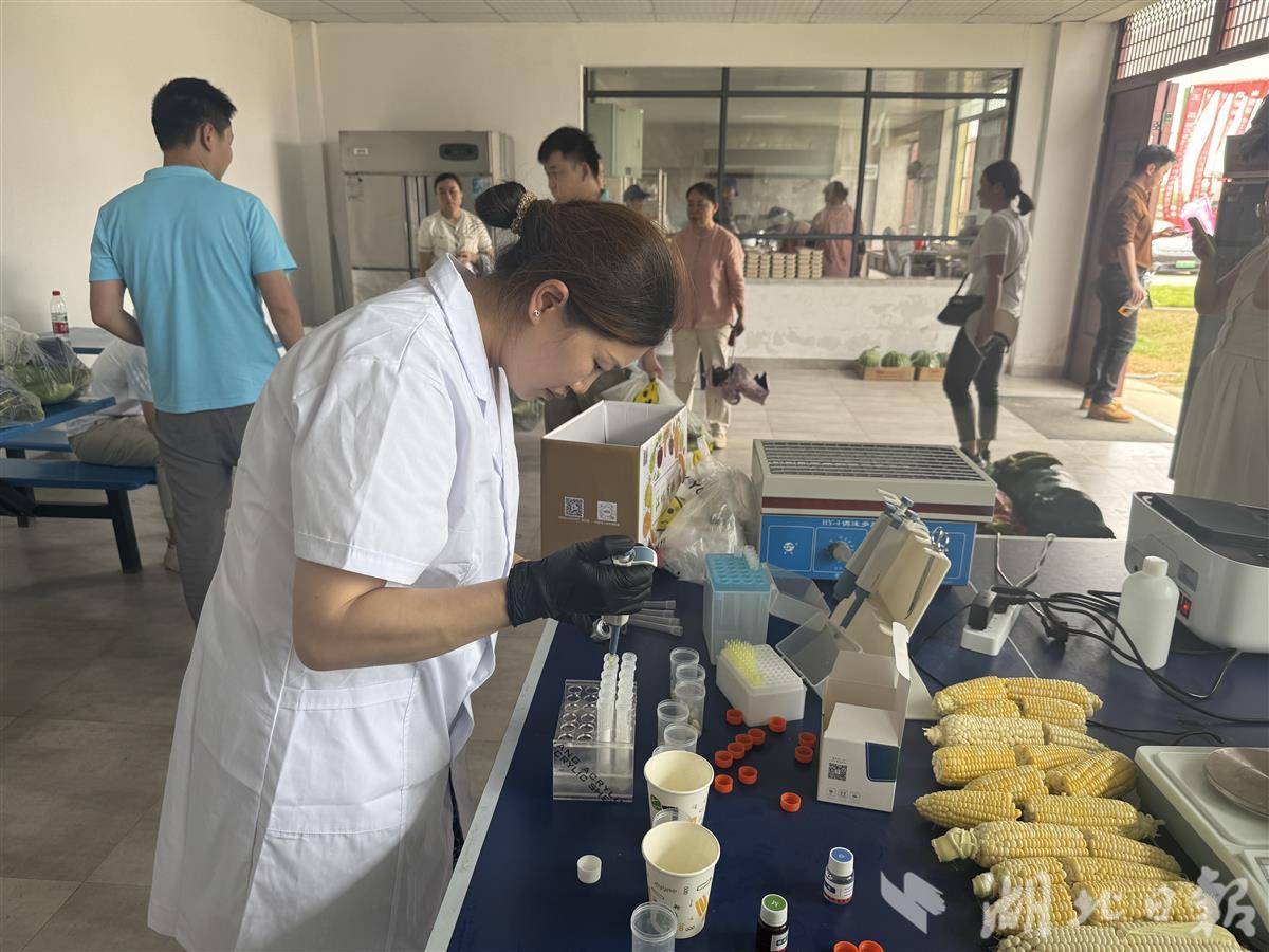 农业部门现场进行甜玉米抽样检测。湖北日报全媒记者谢慧敏摄