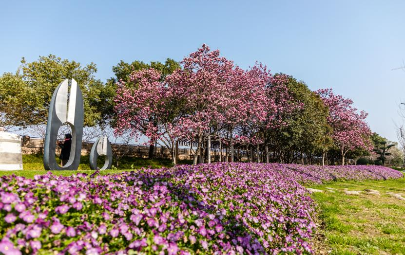 图片 3.png 图片 3.png