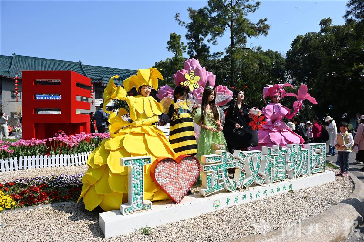 cb202603141620068463313ljp.jpg cb202603141620068463313ljp.jpg