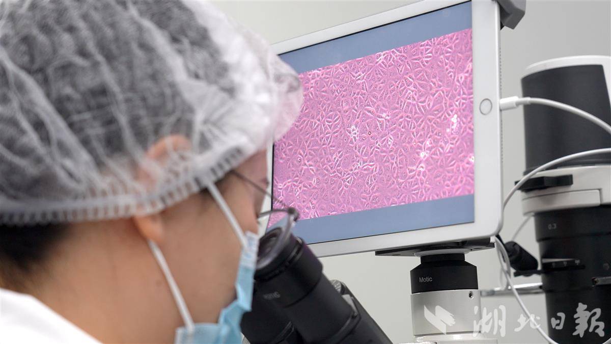 静帧 2026-03-19 144409_2.18.1.jpg 静帧 2026-03-19 144409_2.18.1.jpg