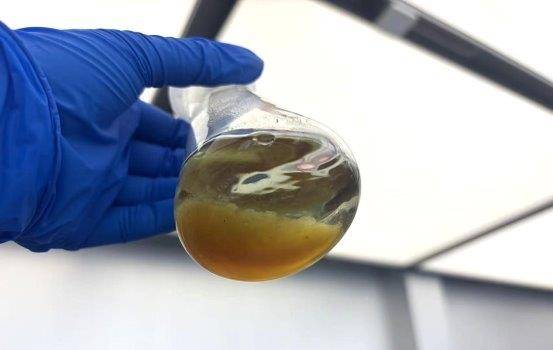 突发！AI在中药材种植与关键物质提取试点应用取得重大进展