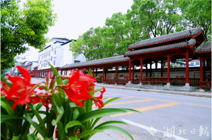 何以高枧：一块豆腐、一座青山、一条古街的乡村振兴密码 - 湖北日报新闻客户端