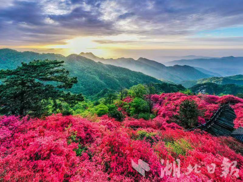 6.湖北交投麻城龟峰山景区获评全国5A级旅游景区.jpg