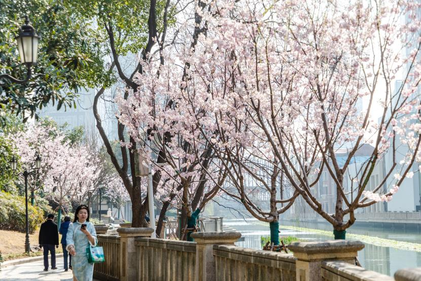 图片 1.png 图片 1.png