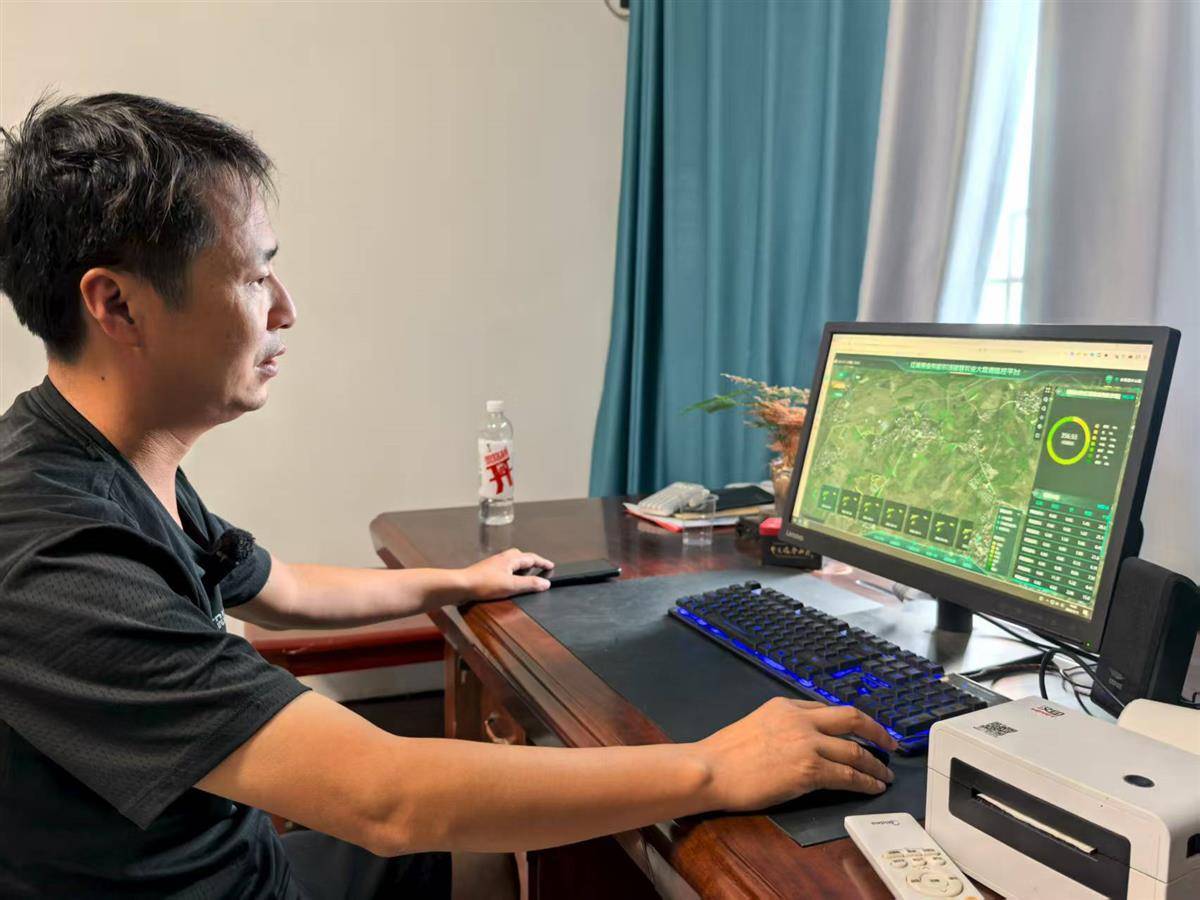 有了中国物流集团援建的“智慧大脑”，孝昌红菱果业负责人杨杜斯打开电脑即可查看桃子长势。（湖北日报全媒记者 方桐 通讯员 蔡青阳 摄）.jpg