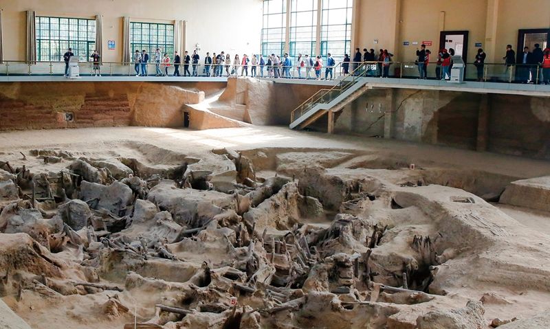 湖北又一市发文终身免费