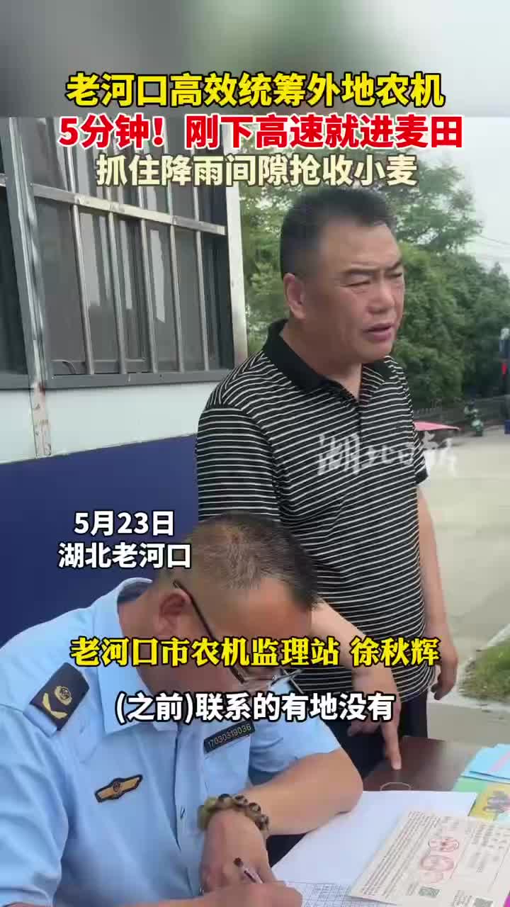 雨口夺粮！襄阳七成小麦颗粒归仓