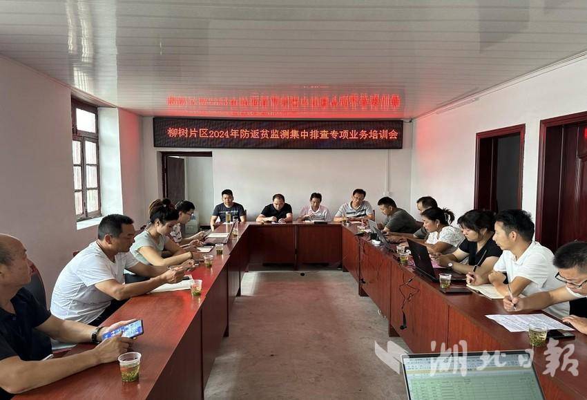 竹溪水坪镇：用“六步走”工作法   推进防返贫监测工作走深走实.docx