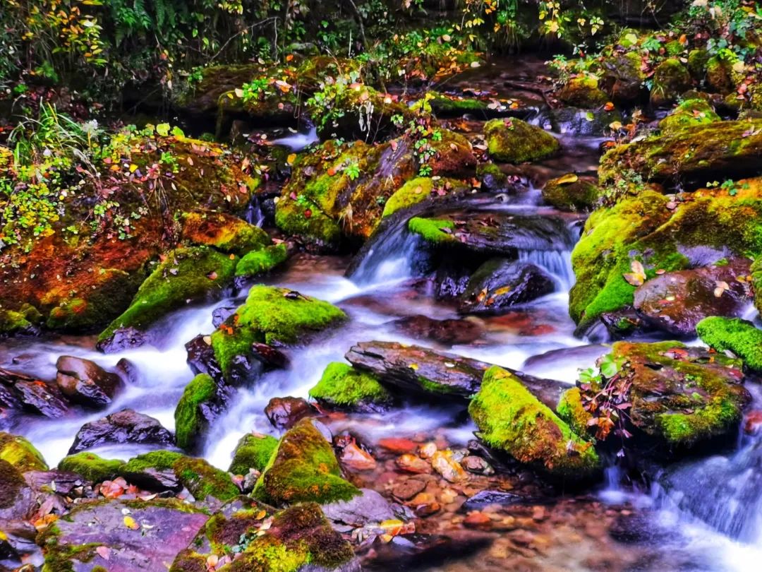 古木参天也是aaa级风景区是长江支流香溪源的发源地位于木鱼镇西2公里
