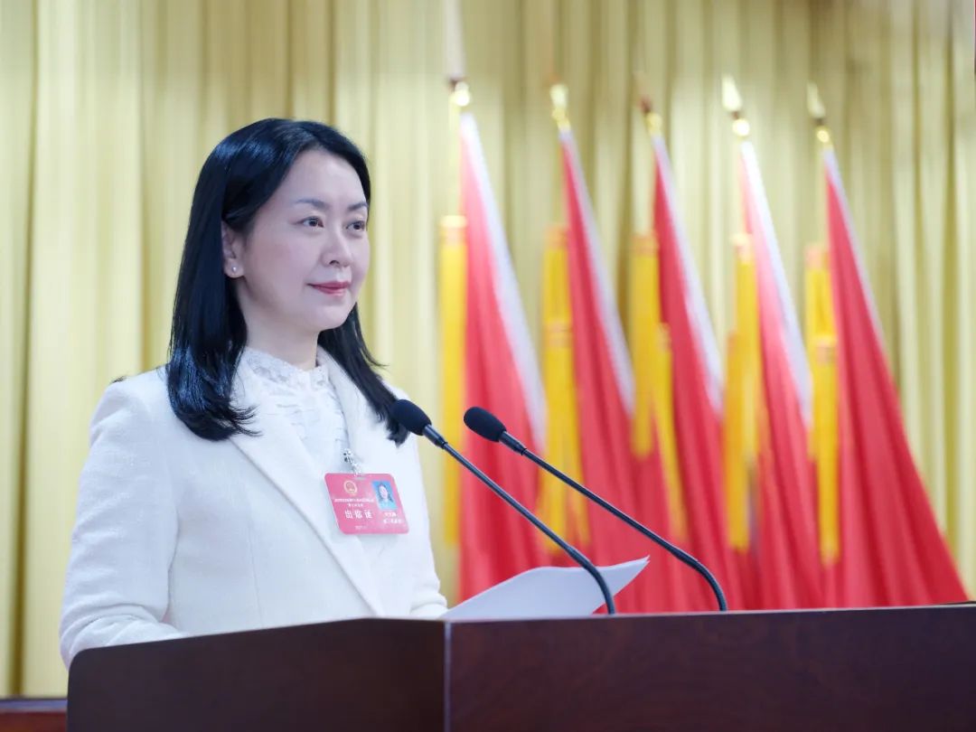 根据大会议程,叶文静代表区人民政府向大会作区人民政府工作报告