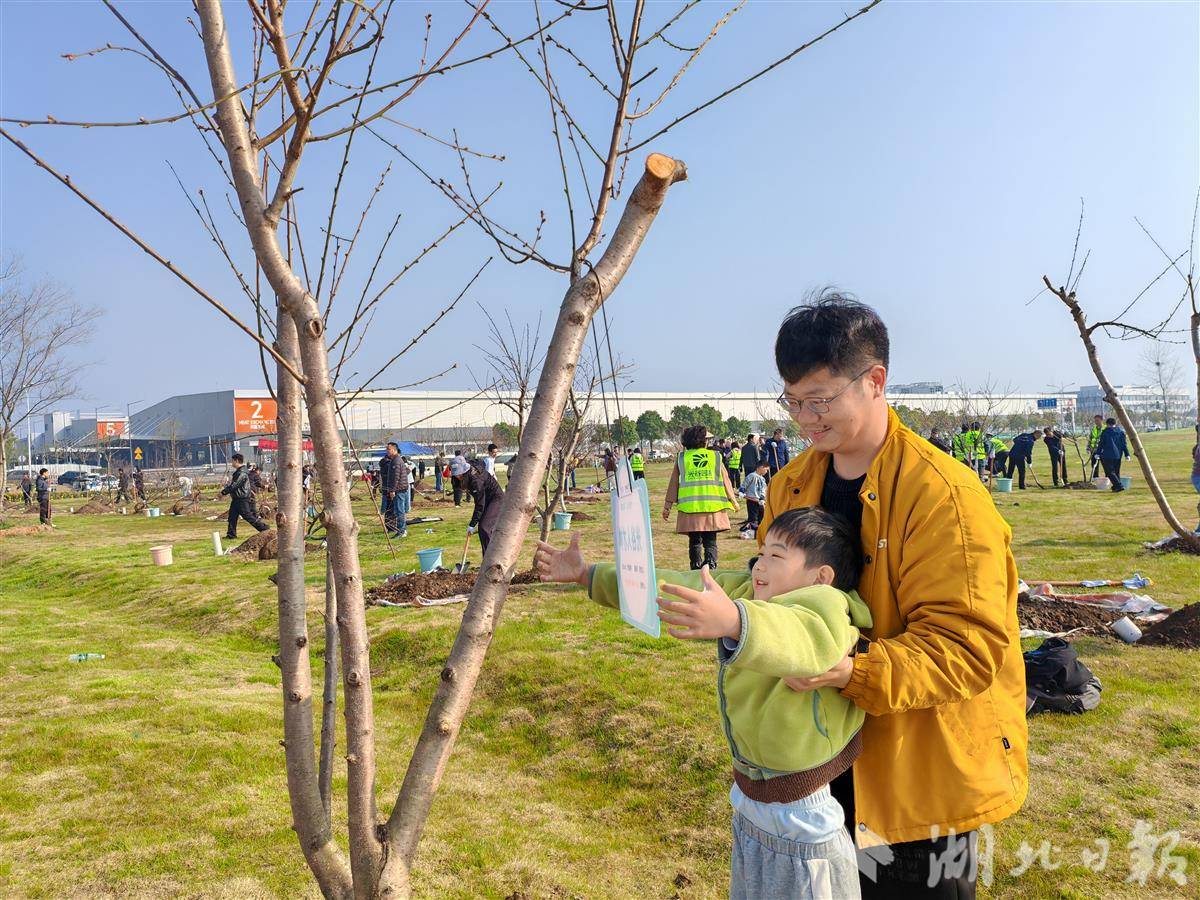 微信图片_20260312145119_767_61.jpg 微信图片_20260312145119_767_61.jpg