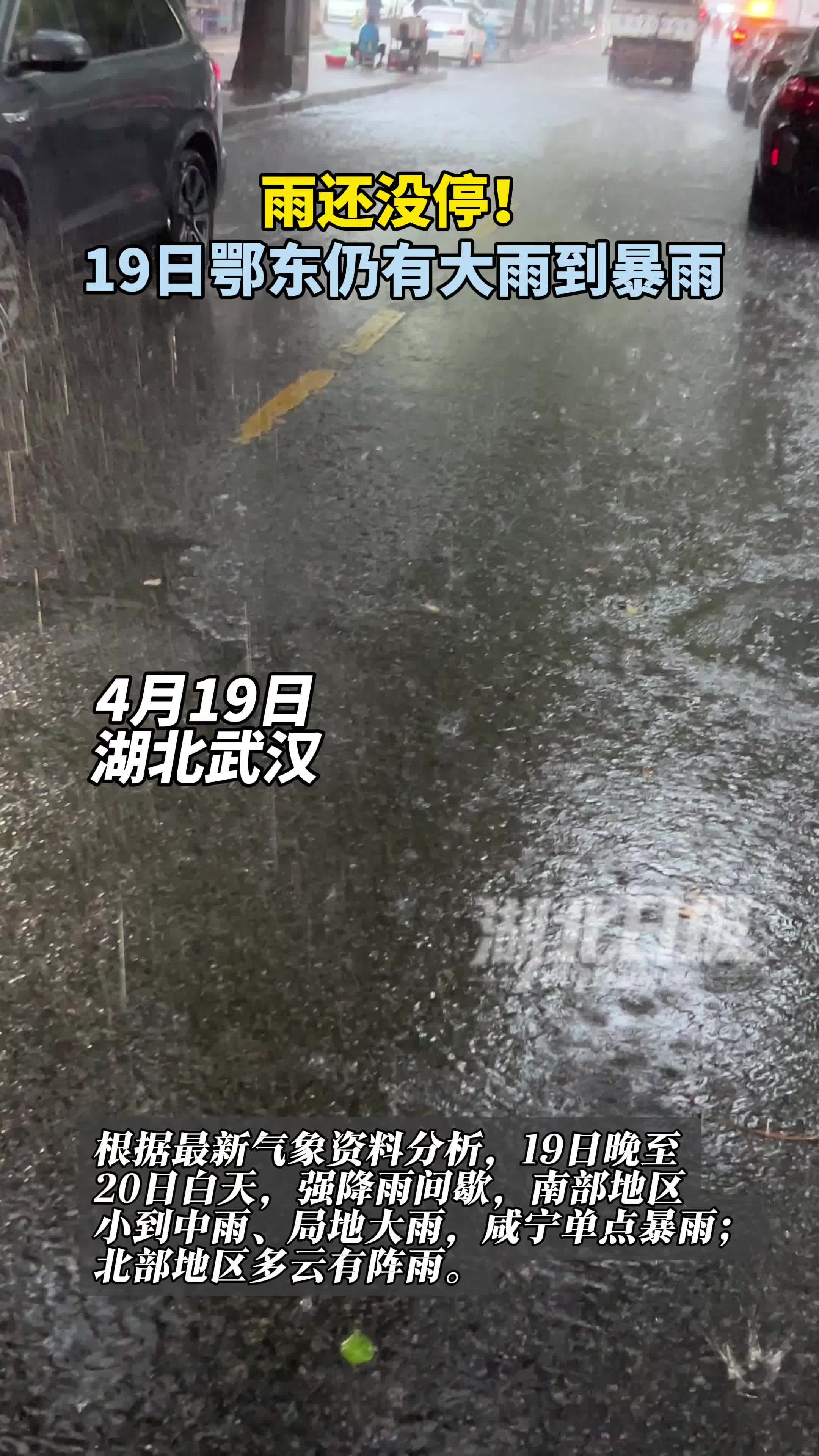 雨还没停！鄂东仍有大雨到暴雨