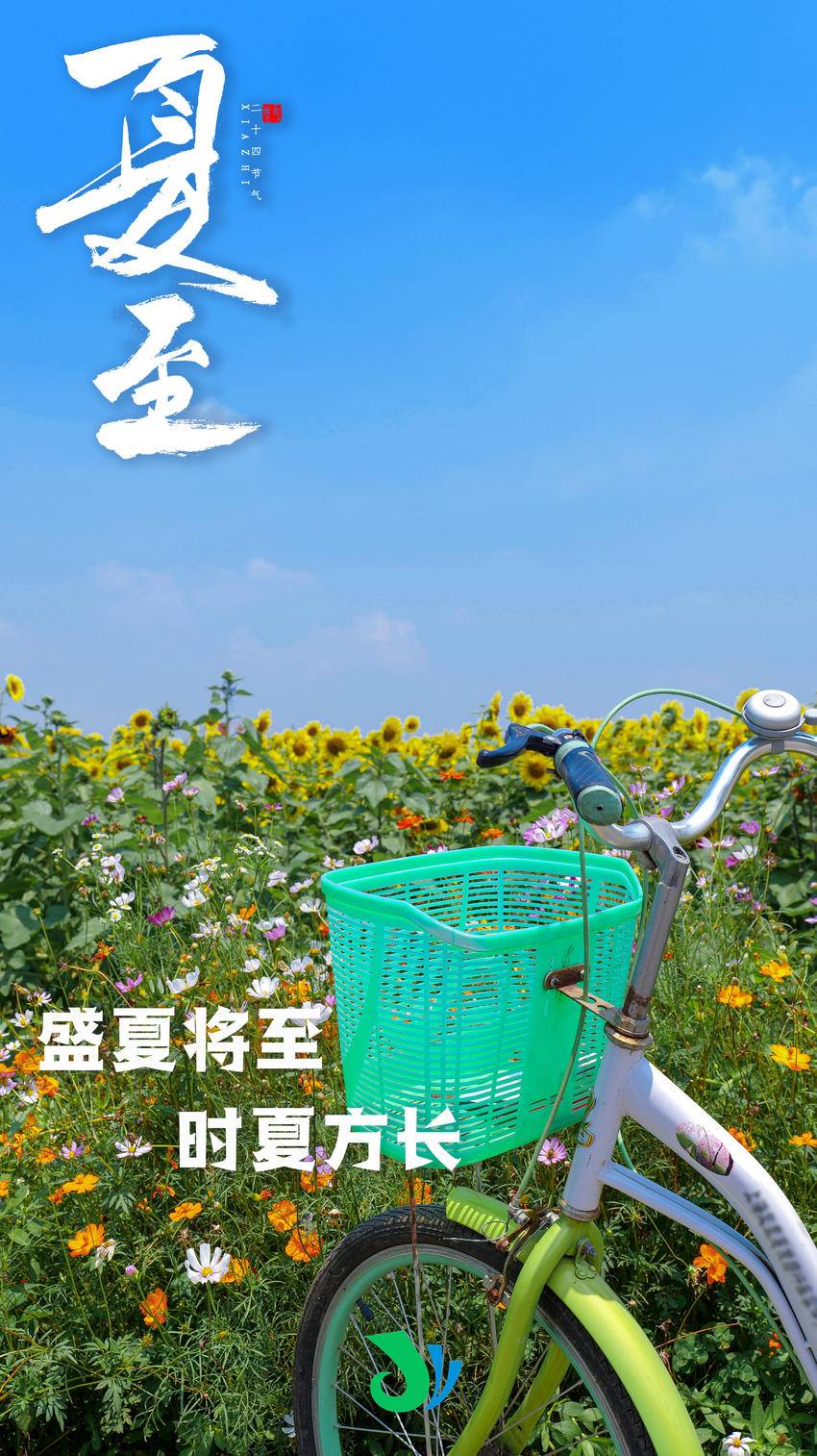 江陵盛夏将至影疏日长