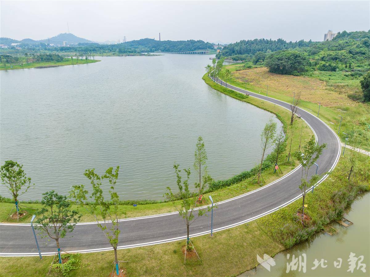 DJI_0635.jpg