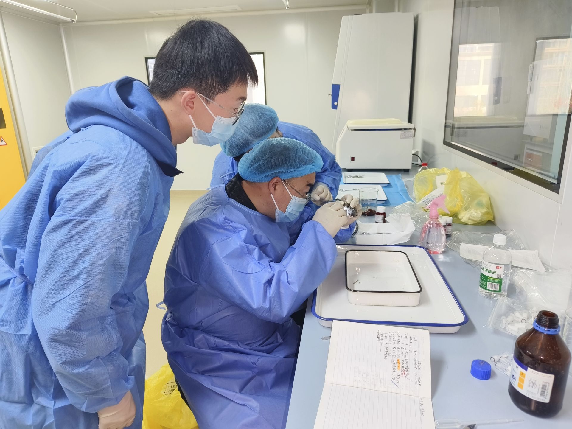 省疾控中心来英山县开展传染病传播媒介生物调查采样