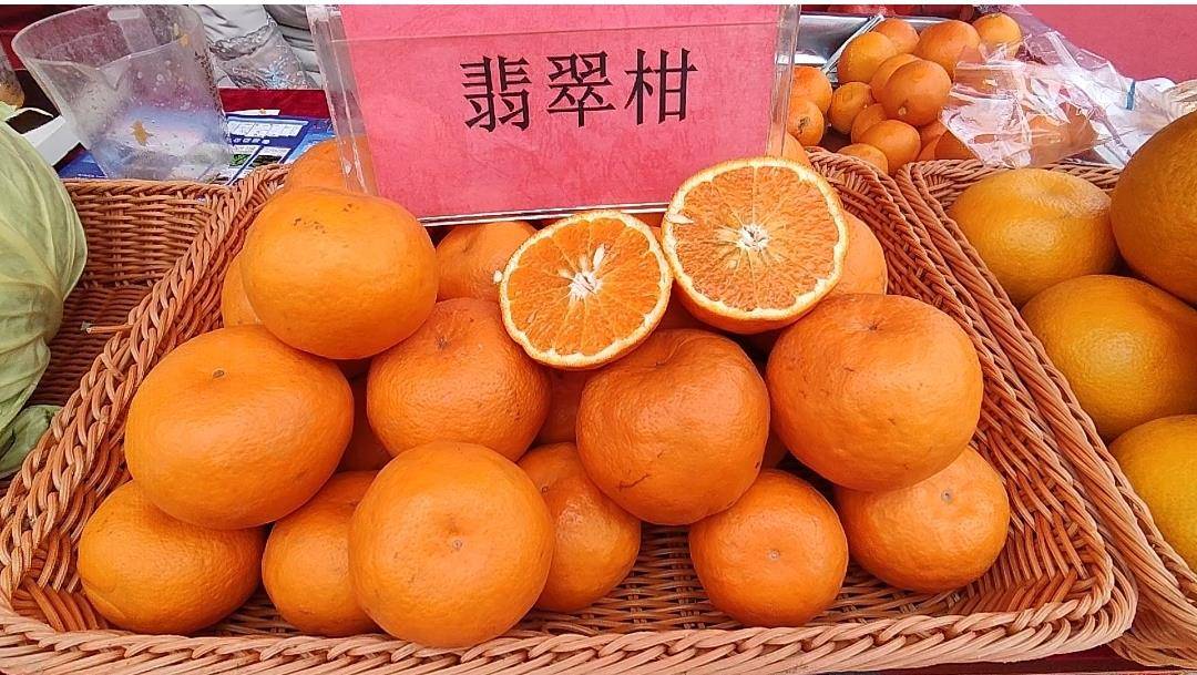 Screenshot_2026-02-07-23-55-24-741_com.miui.galle.jpg Screenshot_2026-02-07-23-55-24-741_com.miui.galle.jpg