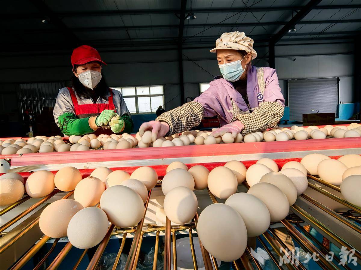 微信图片_20251215150116_191_344.jpg 微信图片_20251215150116_191_344.jpg