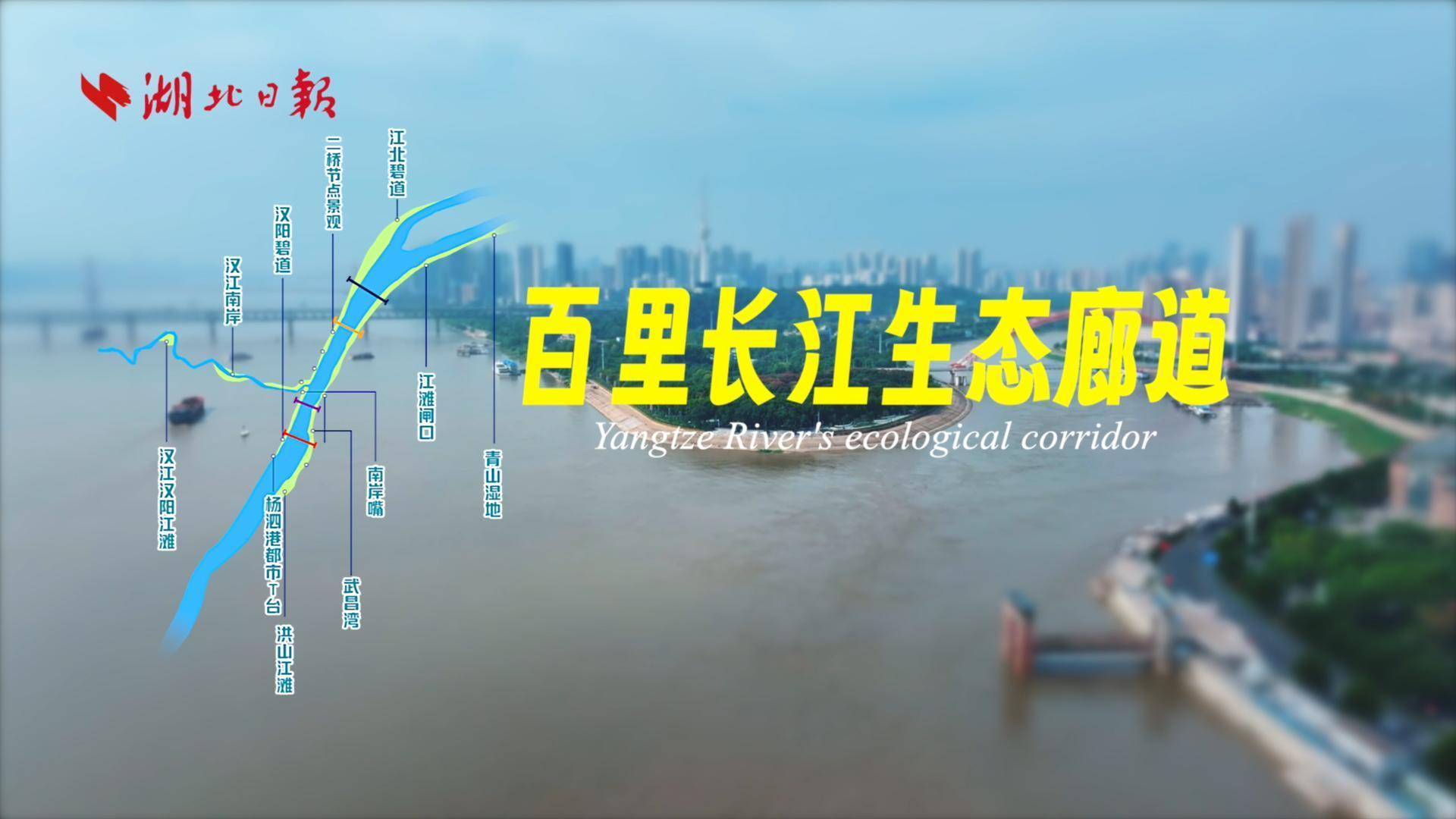 3分钟飞阅武汉百里生态画廊-封面.jpg