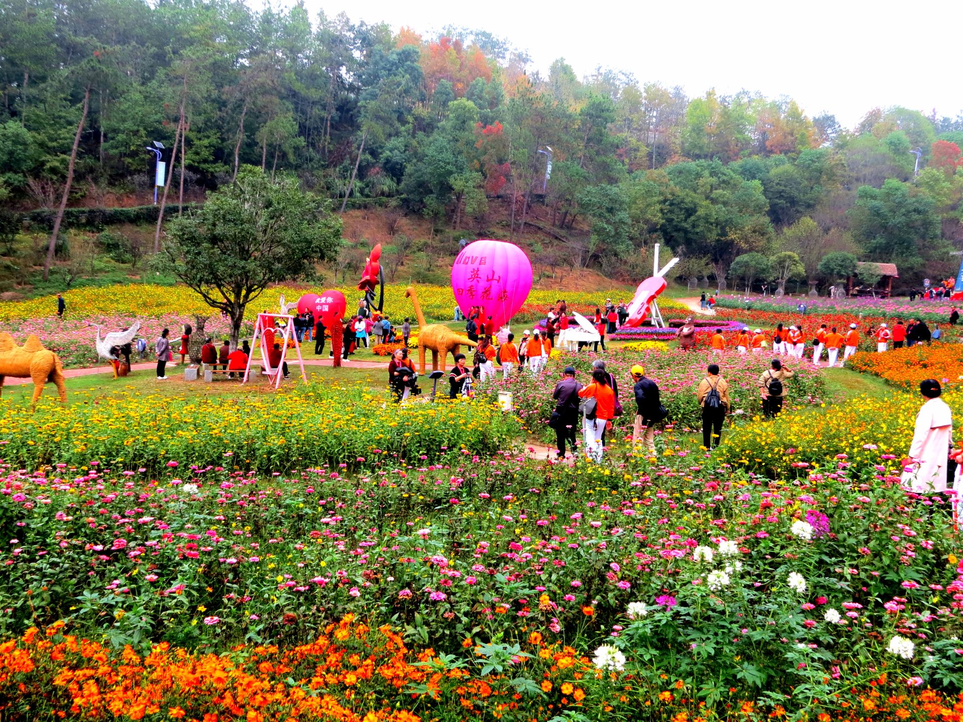 四季花海花似锦 金秋旅游正当时