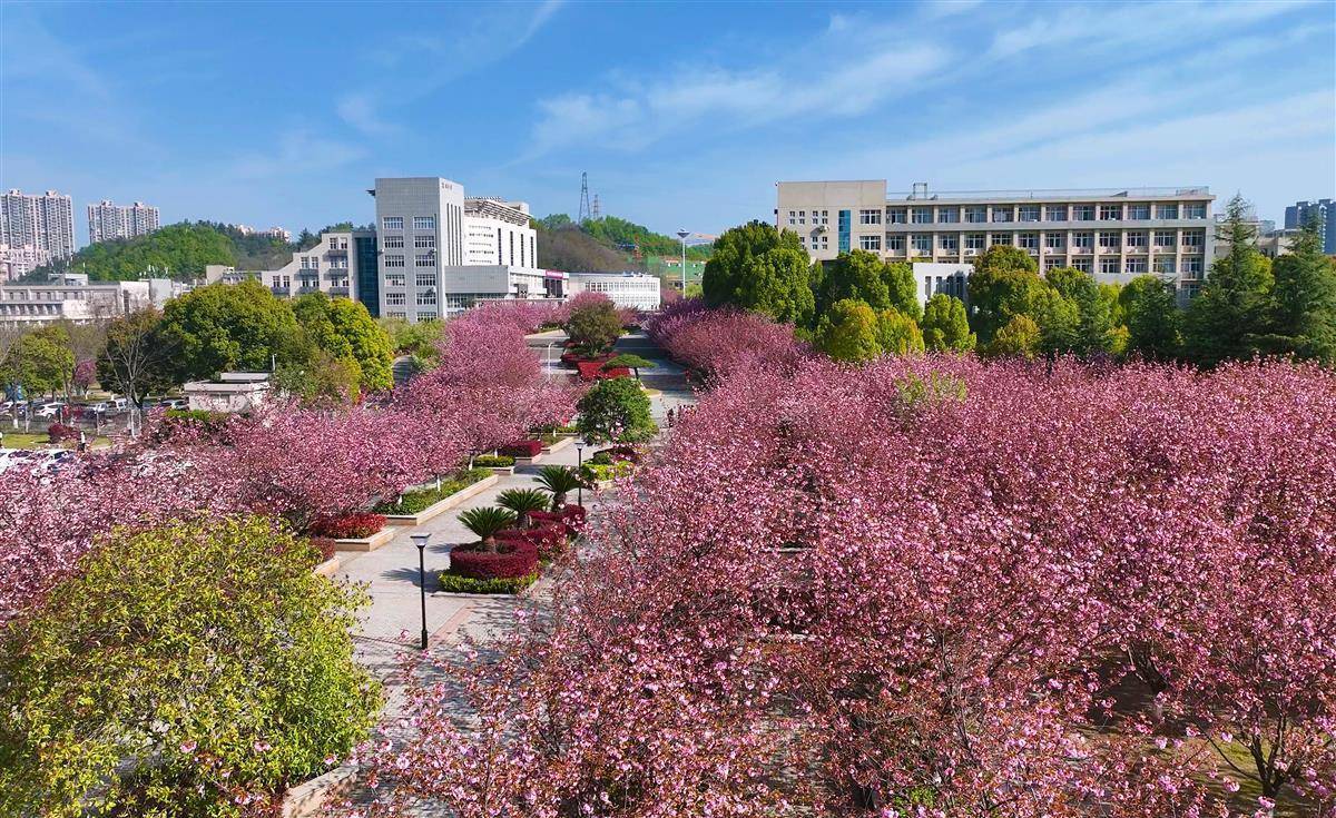 c69120665eb90f40959878285942b95f_29438AD78D63289E5FD7997344C_353A4BE7_42E65_e=.jpg.jpg c69120665eb90f40959878285942b95f_29438AD78D63289E5FD7997344C_353A4BE7_42E65_e=.jpg.jpg