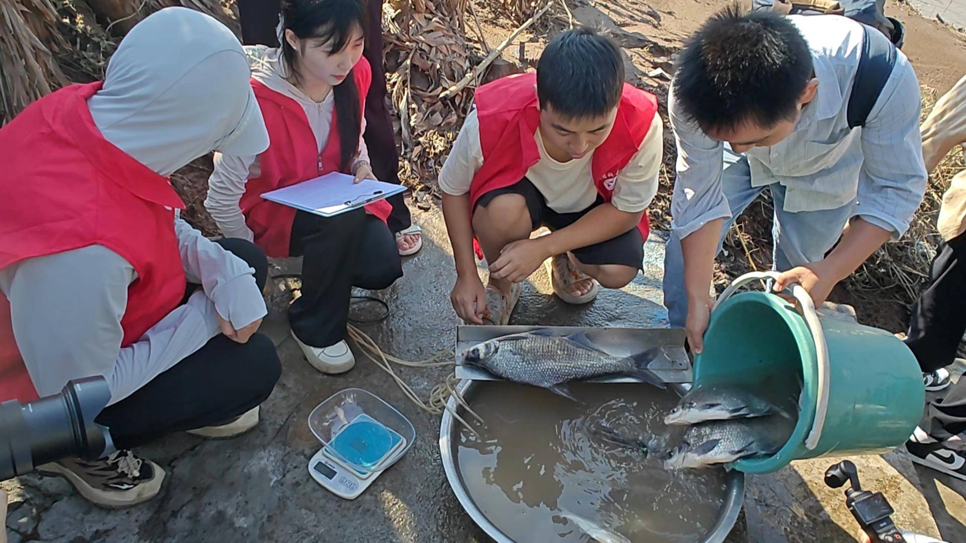 IMG_20250806_143359.jpg IMG_20250806_143359.jpg