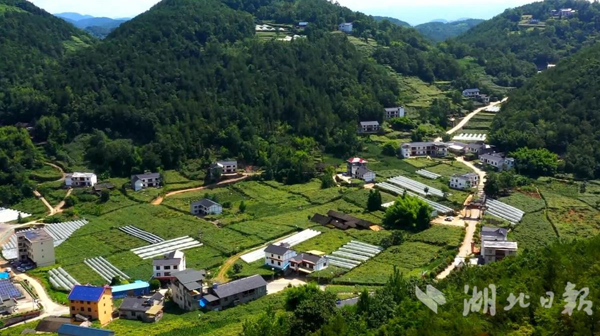 建始花坪一三产业融合发展果农转型拓宽致富路