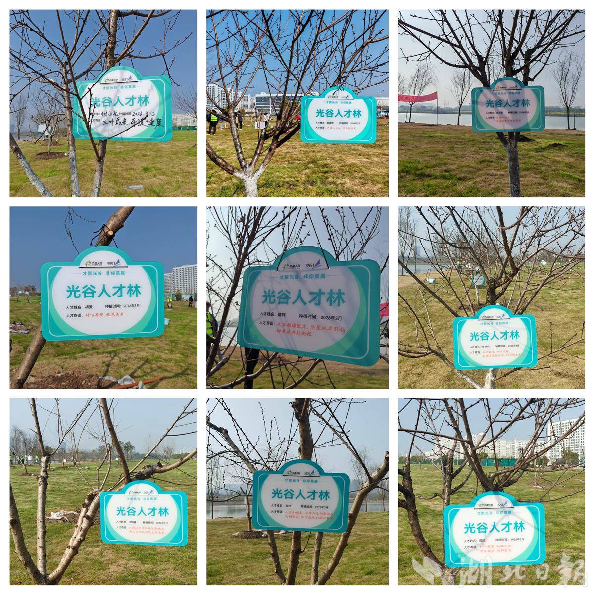 微信图片_20260312152159_776_61.jpg 微信图片_20260312152159_776_61.jpg