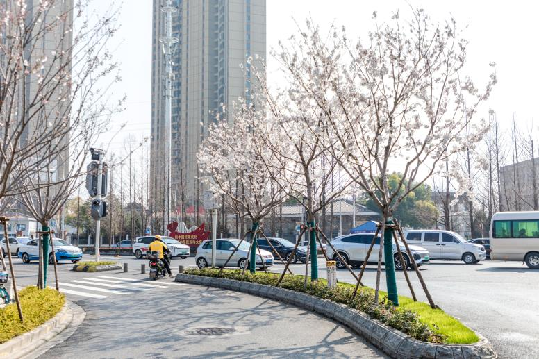 图片 2.png 图片 2.png