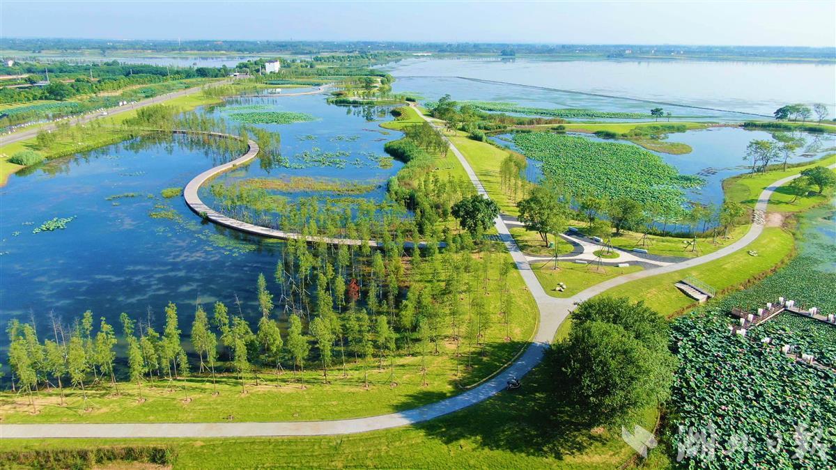 【湖北】枝江金湖国家湿地公园建成验收 - 湖北日报新闻客户端