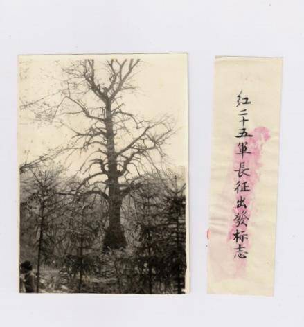 红二十五军长征出发标志。（罗山县委宣传部供图）