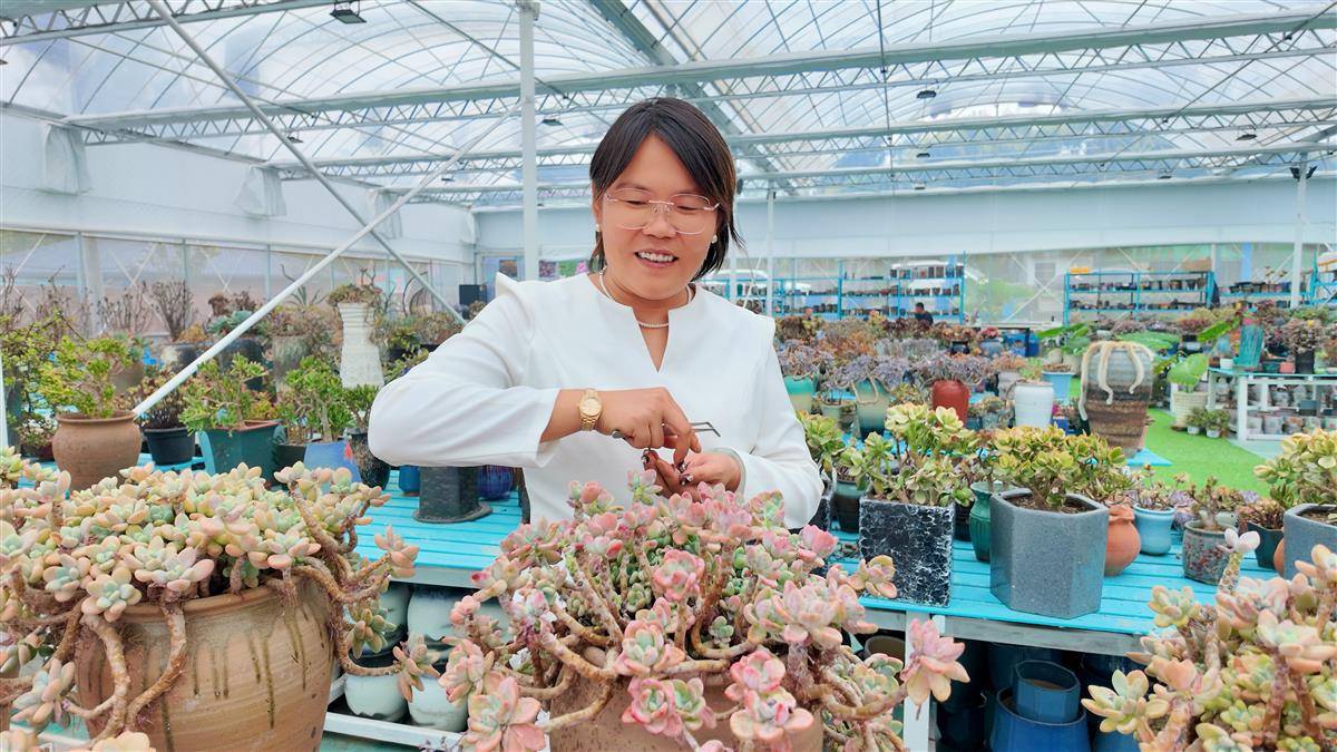 微信图片_20251014174955_218_212.jpg 微信图片_20251014174955_218_212.jpg